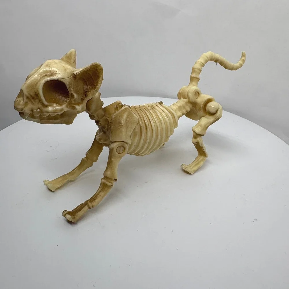 Articulated Cat Skeleton Halloween Figurine Posable Plastic Bone Decor 7 Inch